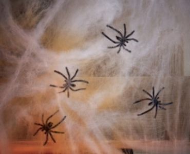Halloween Spiders Web £99.00