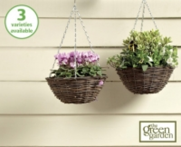 Rattan Filled Hanging Basket