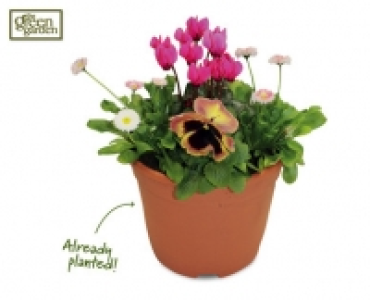 Autumn Planter £3.99