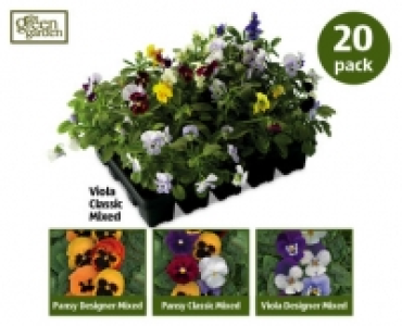 Winter Bedding Plants £2.49