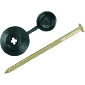 Profile Sheeting Nails 70mm Black PK20