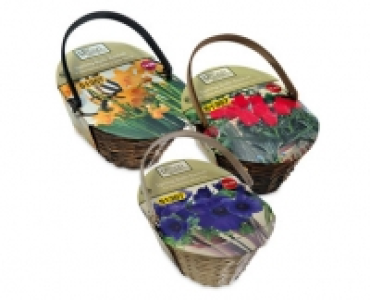 Spring Bulb Gift Basket