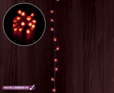 Berry Lights £9.99