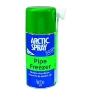 Arctic Regular Can 220ml