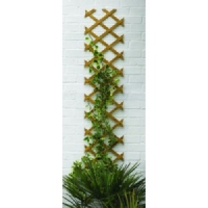 Wickes Expanding Trellis 1830mmx300mm Autumn Gold
