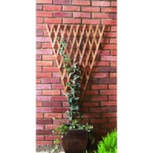 Wickes Expanding Fan Trellis 1830mmx900mm