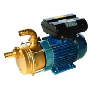 Wickes Transfer Pump for Clean Liquids 1 Inch