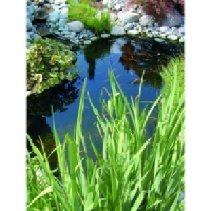 Wickes Large Pond Kit 3000L £129.99
