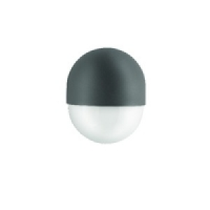 Philips 12W Forest Wall Lantern Antracite £24.99