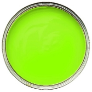 Wickes Vinyl Matt Emulsion Paint Pastures New 2.5L £15.99
