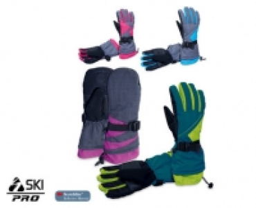Ski Pro Gloves