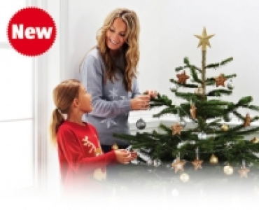 Scottish Grown Nordman Fir Christmas Tree