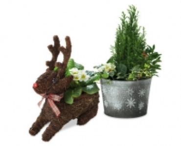 Animal/Indoor Planter