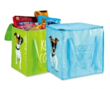 Insulated Freezer Bag