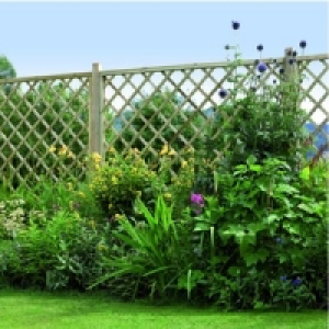 Wickes Diamond Lattice Screening Fence Panel 1.8mx1.8m