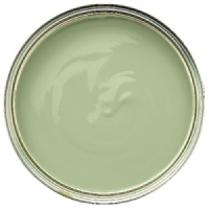 Dulux Feature Wall Emulsion Paint Overtly Olive 1.25L £14.99