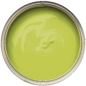 Dulux Feature Wall Emulsion Paint Luscious Lime 1.25L £14.99