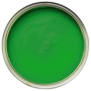 Wickes Vinyl Silk Emulsion Paint Leprechaun 2.5L