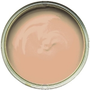 Wickes Vinyl Silk Emulsion Paint Fudge 2.5L