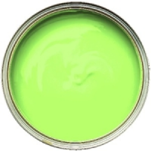 Wickes Vinyl Silk Emulsion Paint Grass 2.5L