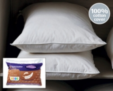 Duck Feather Pillow Pair
