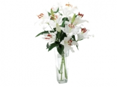 Oriental Lilies £3.50