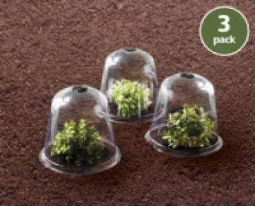 Aldi  Large Vented Bell Cloche, 3 Pack