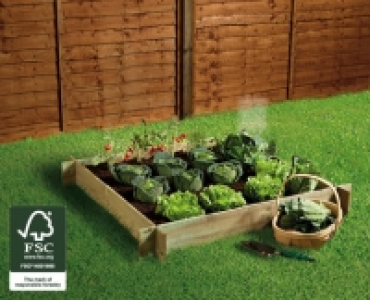 Raised Bed