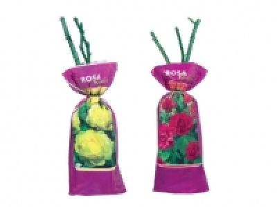 Garden Roses £2.29