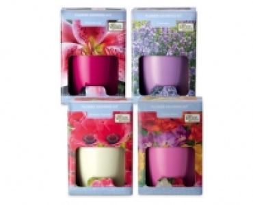 Flower Growing Kit