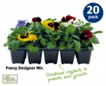 Spring Bedding Plants
