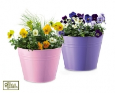 Viola Planter