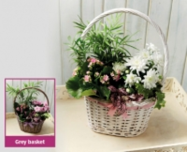 Premium Mothers Day Gift Basket