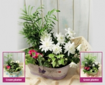 Mothers Day Gift Planter