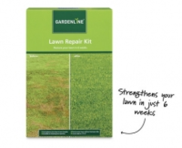 Lawn Repair Kit