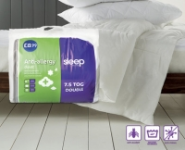 Anti-Allergy Duvet Double