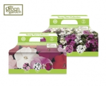 Young Plant Collection