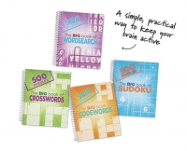 Big 500 Puzzle Book