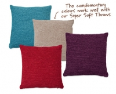 Large Cushion £5.99