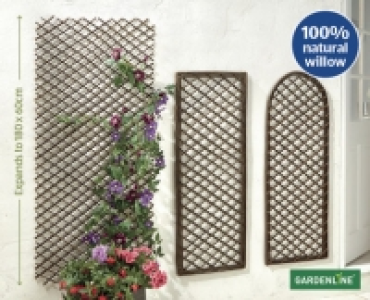 Willow Trellis