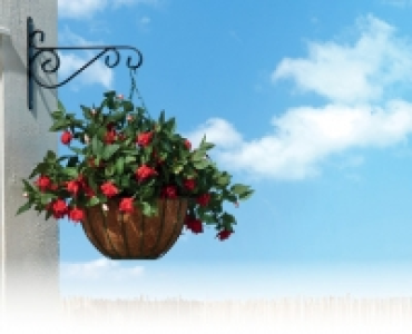 12 Inch Traditional Hanging Basket