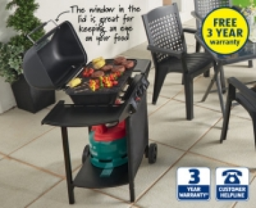 Dual Burner Gas Barbecue