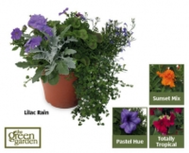 Summer Patio Planters