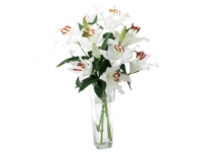 Oriental Lilies £3.40