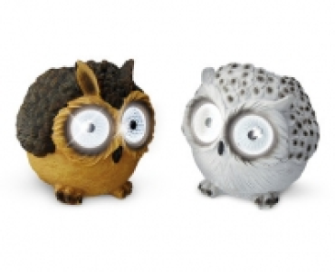 Solar Owl Light