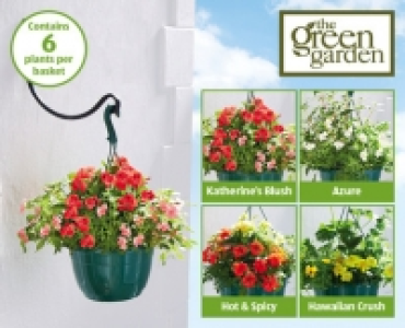 Filled Hanging Basket £3.99
