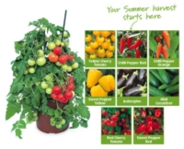 Fruit & Vegetable Plants £2.99