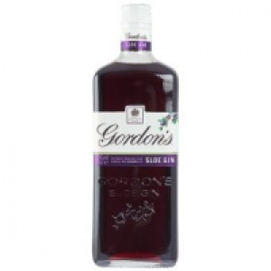Sloe Gin £16.00