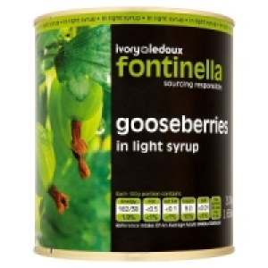 Fontinella Gooseberries in Light Syrup 3.0kg