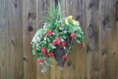 Fuchsia Cone Basket Assorted Colours